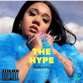 The Hype (Radio Edit) by Nolay