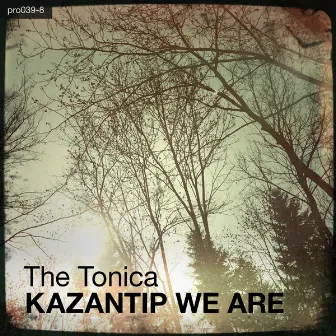 Kazantip We Are by The Tonica