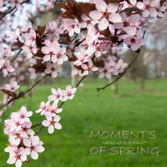 Moments Of Spring by Mercuzio Pianist