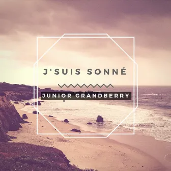 J'suis Sonné by Junior Grandberry