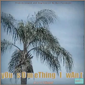 You Something I Want by Marvtainment