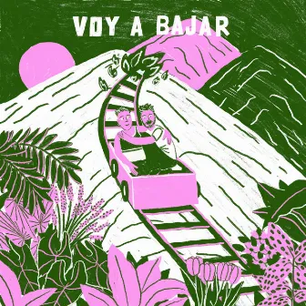 Voy a bajar by El Chico Lopez