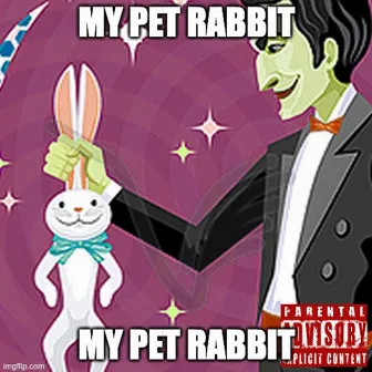 MY PET RABBIT by Your The Best