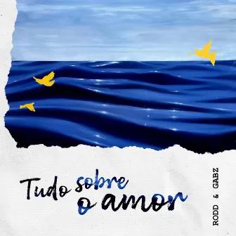 Tudo Sobre o Amor by Medeirin