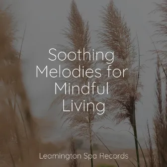 Soothing Melodies for Mindful Living by Fabricantes De Lluvia