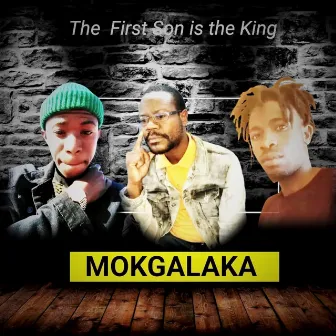 The First Son Is the King by MOKGALAKA