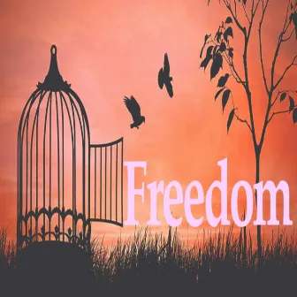 Freedom by Unknown Artist