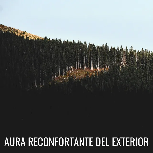 Aura Reconfortante Del Exterior