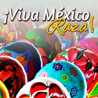 ¡ Viva México Raza ! by #FieldofMusic