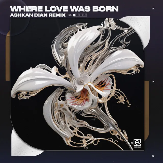 Where Love Was Born - Ashkan Dian Remix