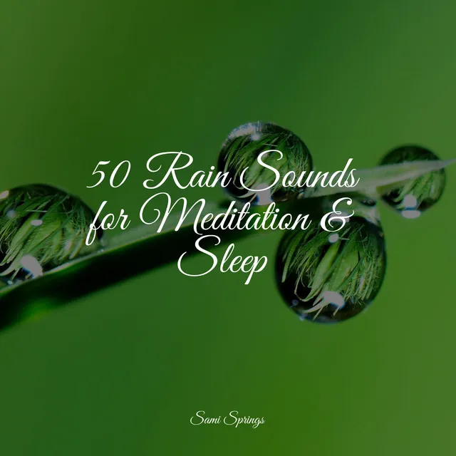 50 Rain Sounds for Meditation & Sleep