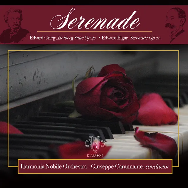 Serenade for String Orchestra in E minor, Op. 20: III. Allegretto