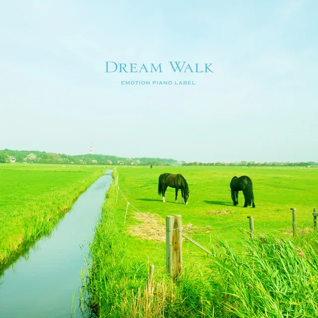 Dream Walk