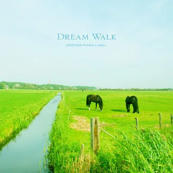 Dream Walk by Smile Fence