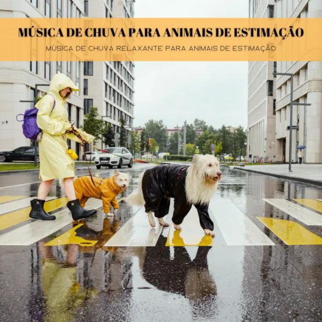 Música para acalmar cachorro