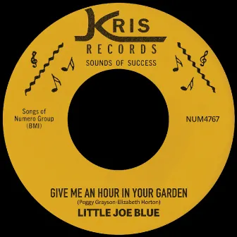 Give Me An Hour In Your Garden by Little Joe Blue