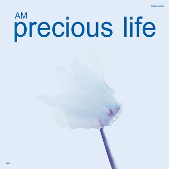 Precious Life by Unknown Artist