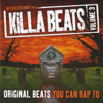 Killa Beats Vol. 3 - Reap What You Sow by E.C. Illa