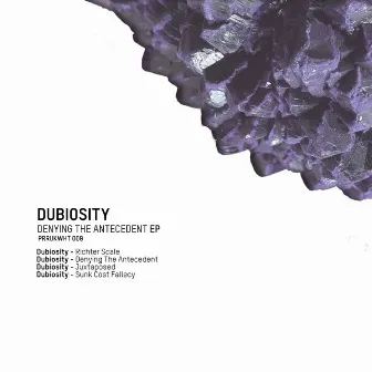 Denying The Antecedent EP by Dubiosity