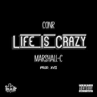 Life Is Crazy by Conr