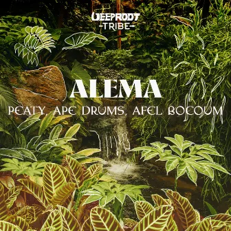 Alema by Afel Bocoum