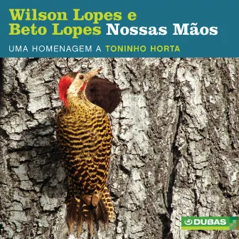 Nossas Mãos - Homenagem a Toninho Horta by Beto Lopes