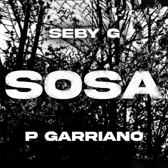 Sosa by P Garriano