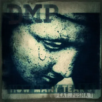 How Many Tears (feat. Pusha T) - Single by DMP