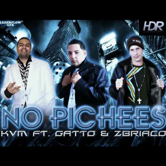 No Pichees by KVM