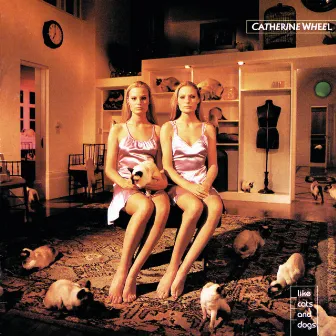 Like Cats And Dogs by Catherine Wheel