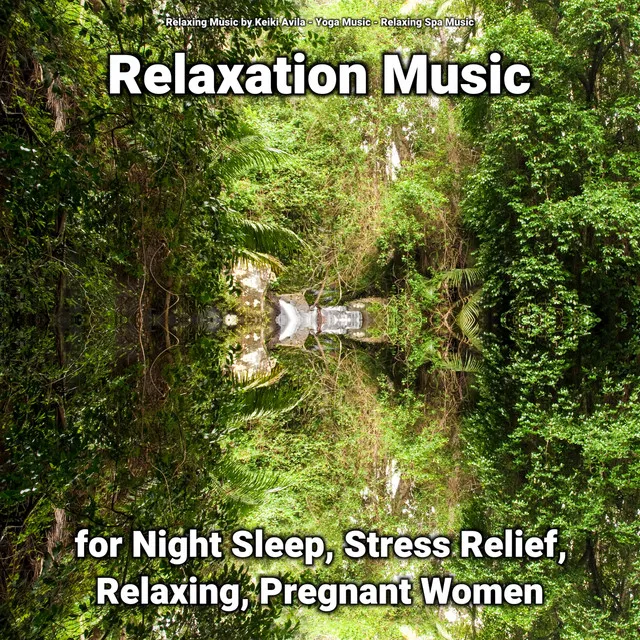 Relaxation Music for Night Sleep and Stress Relief Pt. 6