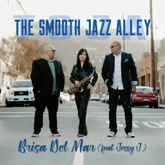 Brisa Del Mar (Radio Edit) by The Smooth Jazz Alley