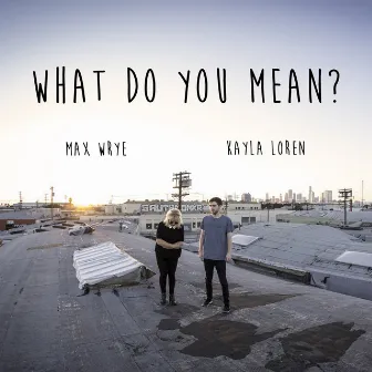 What Do You Mean? by Max Wrye