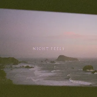 Night Feels by Richelle Ziola