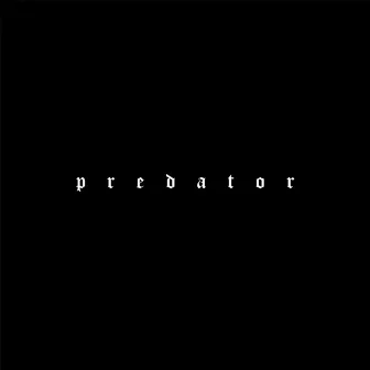 Predator by STEIN27