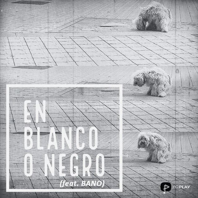 En Blanco o Negro