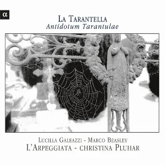 La Tarantella: Antidotum Tarantulae by Lucilla Galeazzi