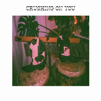 Crushing on You by Brijean