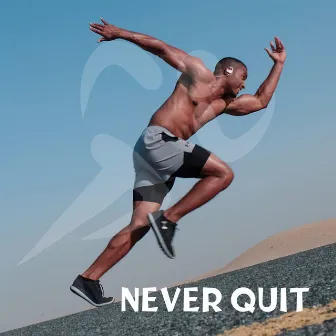 Never Quit by Christopher Fitzgerald