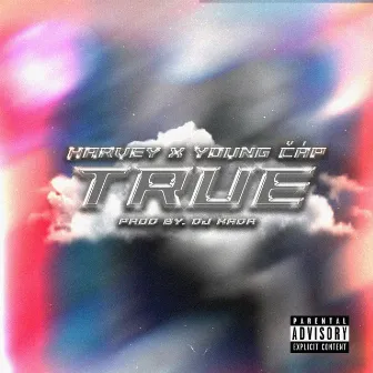 True by HARVEY HF