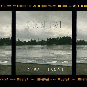 Calm by James Liandu