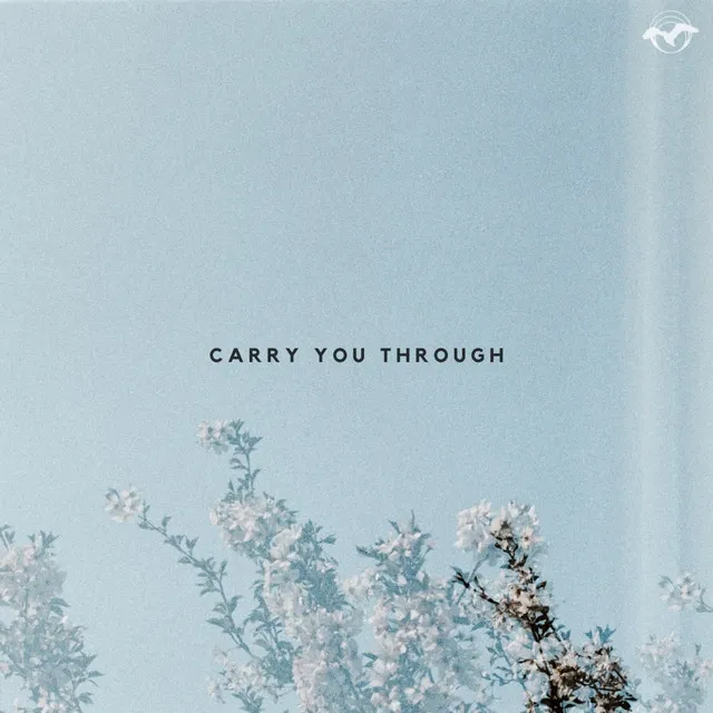 Carry You Through