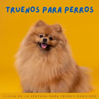 Truenos Para Perros: Lluvia En La Ventana Para Perros Dormidos by Radio musical para perros