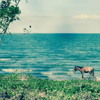 Playa Santo Domingo by James Forest