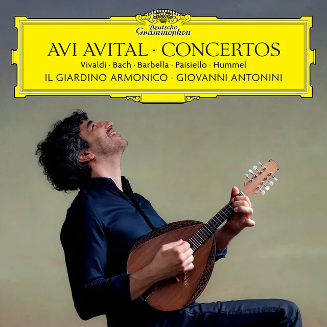 Barbella: Mandolin Concerto in D Major: II. Andantino