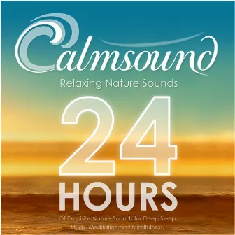 Relaxing Nature Sounds: 24 Hours of Exquisite Nature Sounds for Deep Sleep, Study, Meditation and Mindfulness by Calmsound