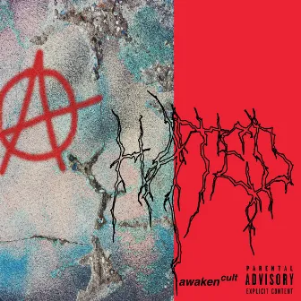 Hated (Deluxe Edition) by AWAKEN CULT