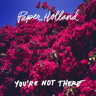 You're Not There by Paper Holland