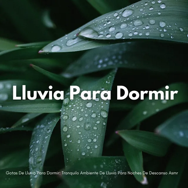 Gotas De Lluvia Para Dormir: Tranquilo Ambiente De Lluvia Para Noches De Descanso Asmr