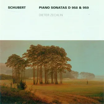 Franz Schubert: Piano Sonatas Nos. 19 and 20 (Zechlin) by Dieter Zechlin